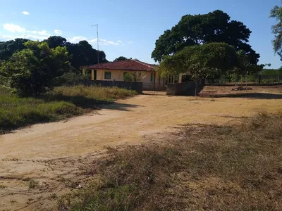 Vendo Fazenda com 726 hectares de área plana, Lagoa Preta, município de Tremedal - BA - Foto 5