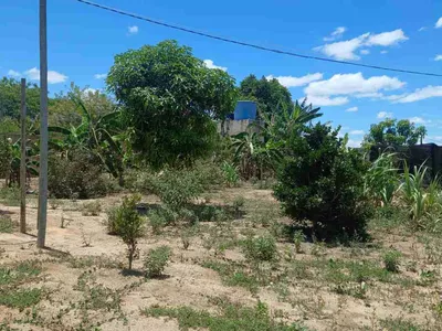 Sítio à Venda, zona Rural , São Sebastião do Passé, BA - Foto 4