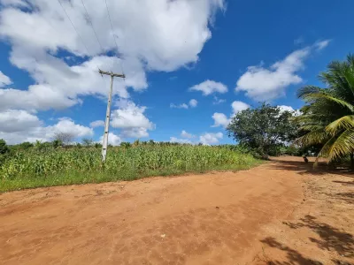 Excelente Sítio à Venda em Caraíbas – 3 Hectares, Casa e Estrutura Completa – Água em Abund? - Foto 47
