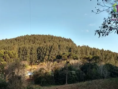 Chácara com 04 Alqueires para venda a 6km do PB Shopping em Pato Branco - Foto 12