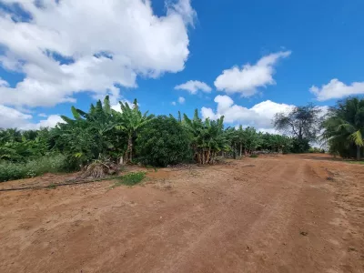 Excelente Sítio à Venda em Caraíbas – 3 Hectares, Casa e Estrutura Completa – Água em Abund? - Foto 31