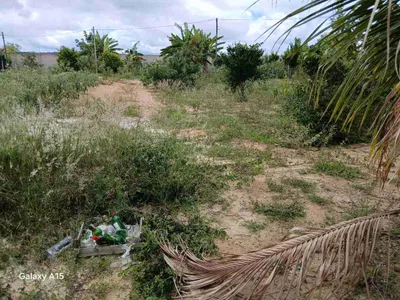 Sítio à Venda, zona Rural , São Sebastião do Passé, BA - Foto 24