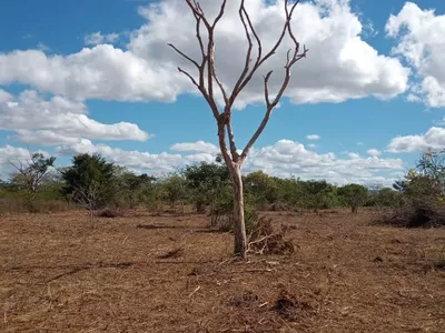 VENDO OU TROCO Sítio de 20 mil m² dentro de cond. fechado já com cerca, no Terra Estância das Ro - Foto 23