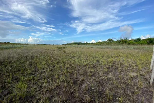 Terreno à venda, em Taipu de Fora, Península de Maraú, Barra Grande, um dos destinos mais cobiça - Foto 6