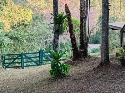 Casa para venda,  São Pedro Da Serra, Nova Friburgo - Foto 5