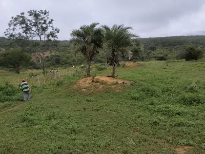 FAZENDA A VENDA REGIÃO DO MORRO DO CHAPÉU - Foto 17
