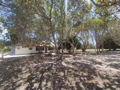 Sítio a venda na Lagoa das Flores com 2 casas, árvores frutíferas, poço artesiano, irrigação, - Foto 7