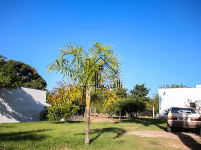 Chácara à venda no bairro Tupi, com 1.650 m² de terreno, nascente de água, piscina e 2 quartos - Foto 3
