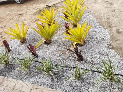 VENDO OU TROCO Sítio de 20 mil m² dentro de cond. fechado já com cerca, no Terra Estância das Ro - Foto 11