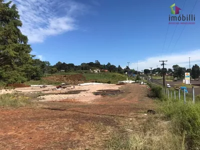 Terreno na PR 280, Trevo p/ Pato Branco com 45.454 - Foto 9