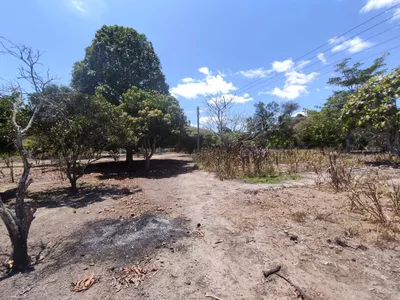 Sítio a venda na Lagoa das Flores com 2 casas, árvores frutíferas, poço artesiano, irrigação, - Foto 22
