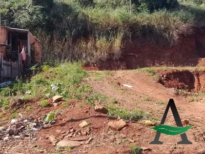 Cornélio Procópio - Terreno - Vila Amoreira - Foto 3