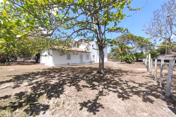 Sítio a venda na Lagoa das Flores com 2 casas, árvores frutíferas, poço artesiano, irrigação, - Foto 4