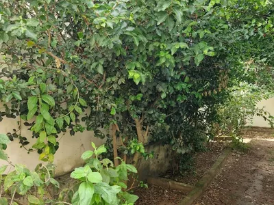 Casa em Condomínio à venda, Alto do Boa Vista Bairro Boa Vista Vitória da Conquista, BA - Foto 29