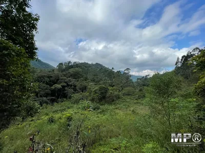 Sítio com 20 mil metros,  Lumiar, Nova Friburgo - Foto 15