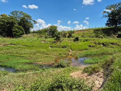 Sítio de 6,6 hectares com água, solo fértil e alto potencial produtivo à venda no Manduca Coelho - Foto 29