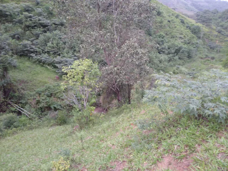 Fazenda 13,5 Hactare à Venda, Pau Brasil , Barra do Choça, BA - Foto Principal