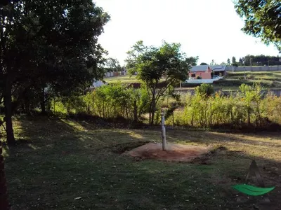 Paranagi - Rural  Chácara - Centro - Foto 17