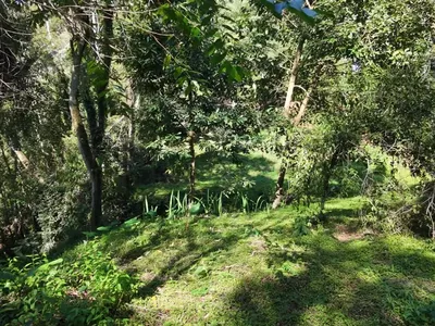 Terreno para venda,  CônegoVillaGhandi, Nova Friburgo - Foto 15