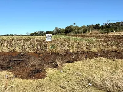 Terreno Comercial para venda,  em Frente ao Pato Branco Shopping no Bairro  Vila Isabel, - Foto 5