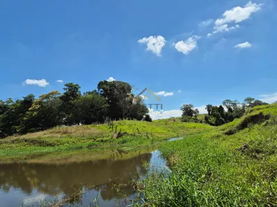 Sítio de 6,6 hectares com água, solo fértil e alto potencial produtivo à venda no Manduca Coelho - Foto 4