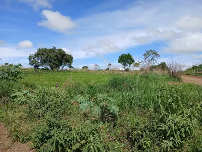 Lote 1000m² em Barra do Choça Ba. - Foto 10