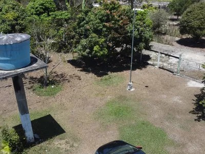 Sítio a venda na Lagoa das Flores com 2 casas, árvores frutíferas, poço artesiano, irrigação, - Foto 33