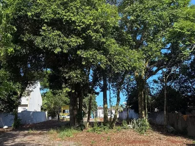 Terreno em frente a Nossa Escola para venda,  Pinheiros, Pato Branco - Foto 11