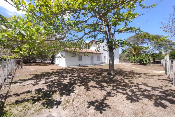 Sítio a venda na Lagoa das Flores com 2 casas, árvores frutíferas, poço artesiano, irrigação, - Foto 3