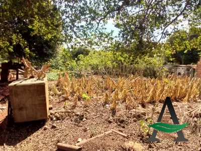 Congonhas - Terreno - Centro - Foto 6