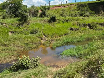 Sítio de 6,6 hectares com água, solo fértil e alto potencial produtivo à venda no Manduca Coelho - Foto 30
