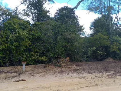 VENDO OU TROCO Sítio de 20 mil m² dentro de cond. fechado já com cerca, no Terra Estância das Ro - Foto 2