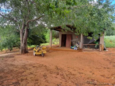 Excelente Sítio à Venda em Caraíbas – 3 Hectares, Casa e Estrutura Completa – Água em Abund? - Foto 35