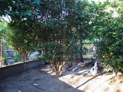 Chácara à venda no bairro Tupi, com 1.650 m² de terreno, nascente de água, piscina e 2 quartos - Foto 51