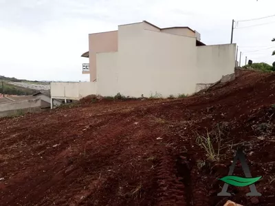 Cornélio Procópio - Terreno - Jardim Veneza - Foto 3