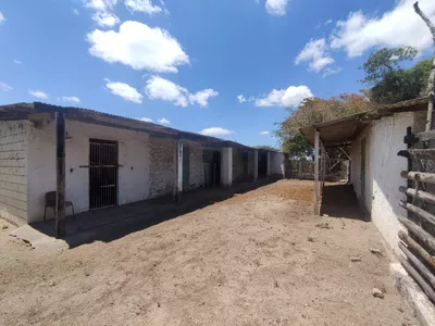Sítio a venda na Lagoa das Flores com 2 casas, árvores frutíferas, poço artesiano, irrigação, - Foto 18