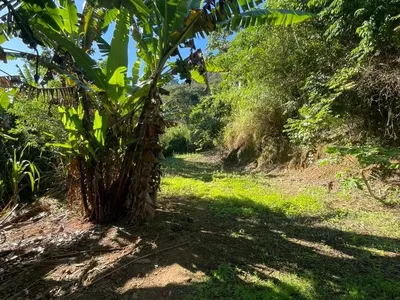 Terreno para venda,  São Pedro Da Serra, Nova Friburgo - Foto 2