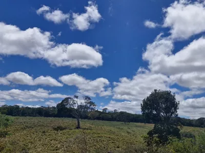 Fazenda em 112 hectares em Planalto - Foto 6