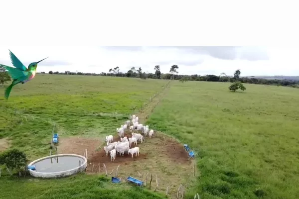 Otima Fazenda à Venda, Zona Rural , Barra do Choça, BA - Foto 5