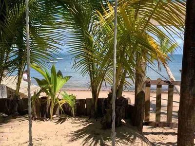 Casa, terreno à Venda Em Barra Grande, Vila, Maraú, BA - Foto 25