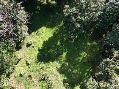 Terreno para venda,  CônegoVillaGhandi, Nova Friburgo - Foto 5