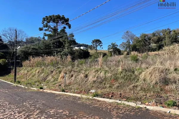 Terreno para venda,  Industrial, Pato Branco - Foto 1