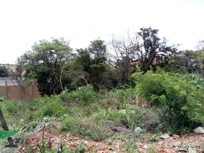 Cornélio Procópio - Rural Chácara -  Jardim Porto Belo - Foto 5