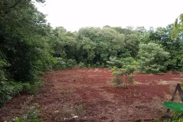 Londrina - Terreno - Jardim Granville Parque Residencial - Foto 2