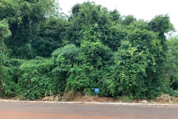 Terreno para venda - Foto 3