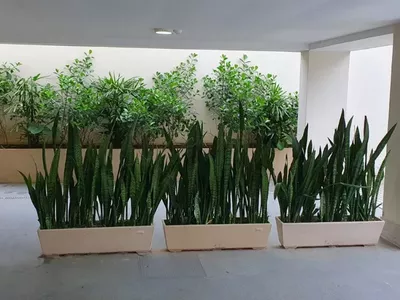 Cobertura duplex para venda,  Cônego, Nova Friburgo - Foto 12