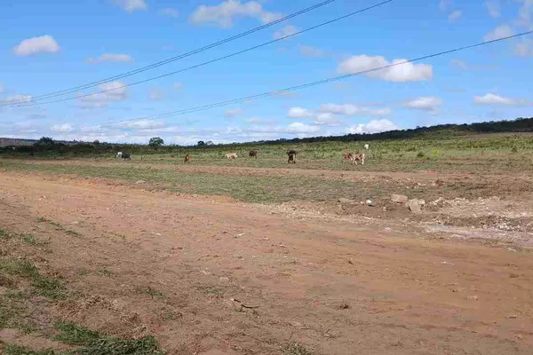 Lote à Venda com área 8 mil metros quadrados na Rodovia Barra do Choça, Estiva , Vitória da Con - Foto 3