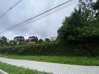 Terreno/chácara para venda no Tatuquara/Campo do Santana com 10.000m² Curitiba - Foto 12