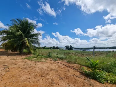 Excelente Sítio à Venda em Caraíbas – 3 Hectares, Casa e Estrutura Completa – Água em Abund? - Foto 33