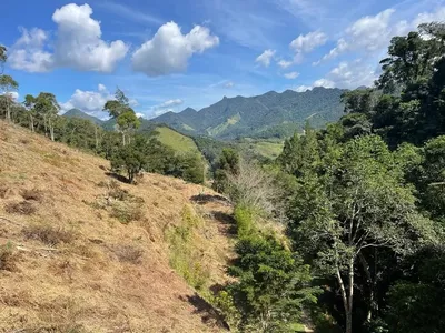 Terreno São Pedro Da Serra - Foto 8